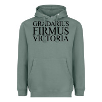 Sage gradarius firmus victoria Heavyweight Hoodie - artisFamous