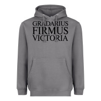 Storm gradarius firmus victoria Heavyweight Hoodie - artisFamous