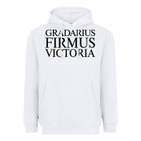 White gradarius firmus victoria Heavyweight Hoodie - artisFamous
