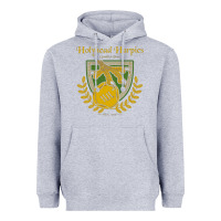 Heather Grey holyhead harpies Heavyweight Hoodie - artisFamous
