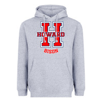 Heather Grey howard 1867 university Heavyweight Hoodie - artisFamous