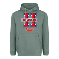 Sage howard 1867 university Heavyweight Hoodie - artisFamous