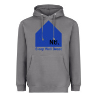 Storm the national party Heavyweight Hoodie - artisFamous