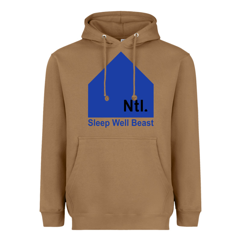 The National Party Heavyweight Hoodie by artisFamous | Teevron
