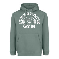 Sage power house gym fitness Heavyweight Hoodie - artisFamous