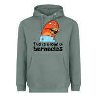 Sage this is a load of barnacles Heavyweight Hoodie - artisFamous