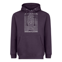 Plum Joy Division Classic Heavyweight Hoodie - artisFamous