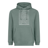 Sage Joy Division Classic Heavyweight Hoodie - artisFamous