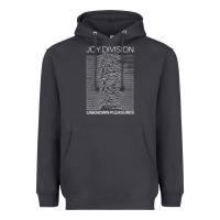 Smoke Joy Division Classic Heavyweight Hoodie - artisFamous