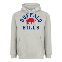 Moon Dust vintage distressed bills Heavyweight Hoodie - artisFamous