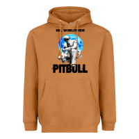 Merch Mr Worldwide Pit Bull Heavyweight Hoodie | Teevron