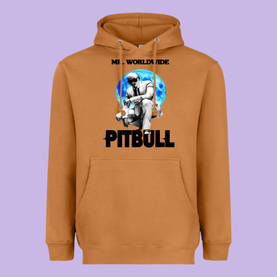 Merch Mr Worldwide Pit Bull Heavyweight Hoodie Designed By Artisfamous