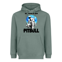 Sage merch mr worldwide pit bull Heavyweight Hoodie - artisFamous