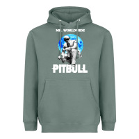 Sage merch mr worldwide pit bull Heavyweight Hoodie - artisFamous