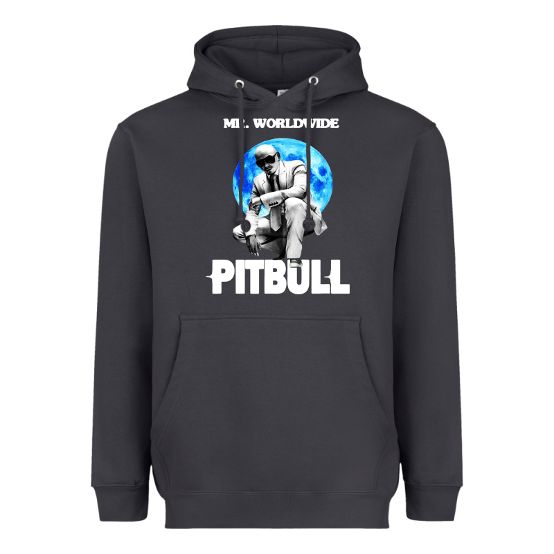 Merch Mr Worldwide Pit Bull Heavyweight Hoodie by artisFamous | Teevron