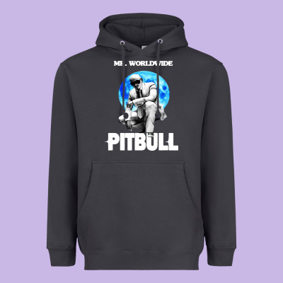 Merch Mr Worldwide Pit Bull Heavyweight Hoodie Designed By Artisfamous