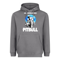 Storm merch mr worldwide pit bull Heavyweight Hoodie - artisFamous