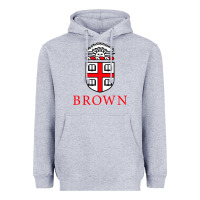 Heather Grey brown university Heavyweight Hoodie - artisFamous