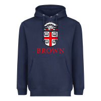 Navy brown university Heavyweight Hoodie - artisFamous