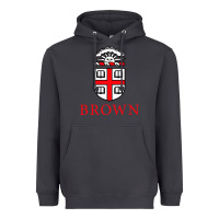 Smoke brown university Heavyweight Hoodie - artisFamous