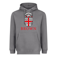 Storm brown university Heavyweight Hoodie - artisFamous