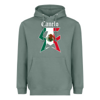Sage canelo alvarez Heavyweight Hoodie - artisFamous