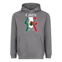 Storm canelo alvarez Heavyweight Hoodie - artisFamous