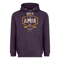 Plum Amir Personalized Name Birthday Gift Heavyweight Hoodie - artisFamous