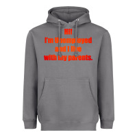 Storm i'm unemployed and i live with my parents Heavyweight Hoodie - artisFamous