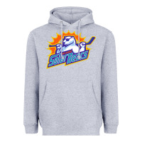 Heather Grey solar bears Heavyweight Hoodie - artisFamous