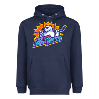 Navy solar bears Heavyweight Hoodie - artisFamous