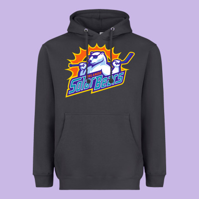 Solar Bears Heavyweight Hoodie Designed By Artisfamous