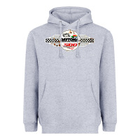 Heather Grey daytona speedway Heavyweight Hoodie - artisFamous