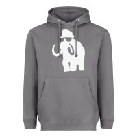 Storm mammoth Heavyweight Hoodie - artisFamous