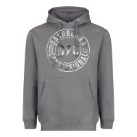 Storm DASHBOARD CONFESSIONAL Heavyweight Hoodie - artisFamous