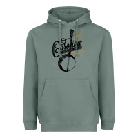 Sage the carolina chocolate drops Heavyweight Hoodie - artisFamous