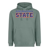 Sage blue mountain state Heavyweight Hoodie - artisFamous