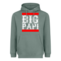Sage big papi Heavyweight Hoodie - artisFamous