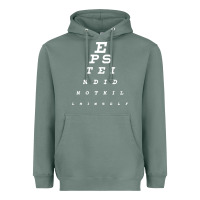 Sage epstein did not kill himself Heavyweight Hoodie - artisFamous