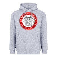 Heather Grey clark university Heavyweight Hoodie - artisFamous