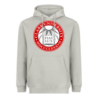 Moon Dust clark university Heavyweight Hoodie - artisFamous