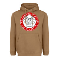 Toasted Coconut clark university Heavyweight Hoodie - artisFamous