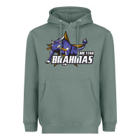 Sage lone star brahmas Heavyweight Hoodie - artisFamous