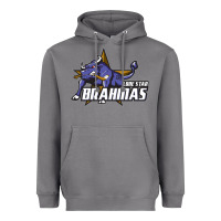 Storm lone star brahmas Heavyweight Hoodie - artisFamous