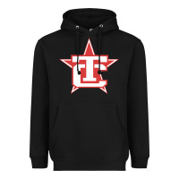 Black Traverse City North Stars Heavyweight Hoodie - artisFamous