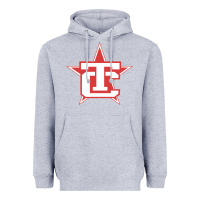 Heather Grey Traverse City North Stars Heavyweight Hoodie - artisFamous