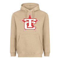 Mushroom Traverse City North Stars Heavyweight Hoodie - artisFamous