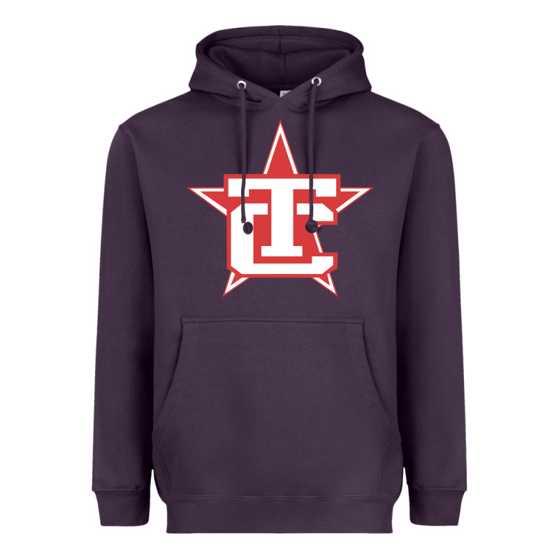Traverse City North Stars Heavyweight Hoodie by artisFamous | Teevron