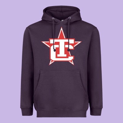 Traverse City North Stars Heavyweight Hoodie Designed By Artisfamous