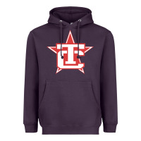 Plum Traverse City North Stars Heavyweight Hoodie - artisFamous